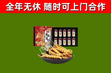 盘锦回收冬虫夏草价格